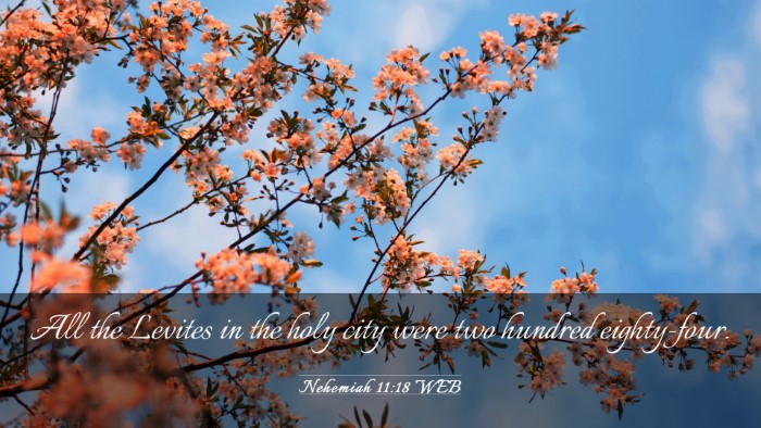Picture 03 - Nehemiah 11:18 WEB Desktop Wallpaper - All the Levites in the holy city were two hundred - Desktop Bible Verse Wallpaper