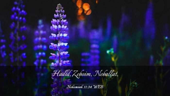 Picture 03 - Nehemiah 11:34 WEB Desktop Wallpaper - Hadid, Zeboim, - Desktop Bible Verse Wallpaper