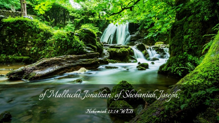 Picture 03 - Nehemiah 12:14 WEB Desktop Wallpaper - of Malluchi, Jonathan; of Shebaniah, - Desktop Bible Verse Wallpaper