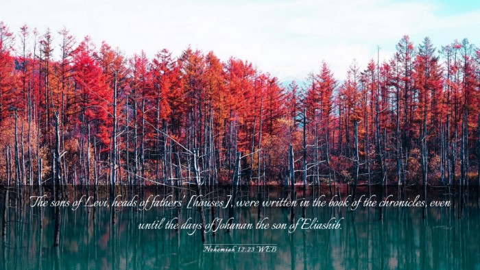 Picture 03 - Nehemiah 12:23 WEB Desktop Wallpaper - The sons of Levi, heads of fathers' [houses], - Desktop Bible Verse Wallpaper