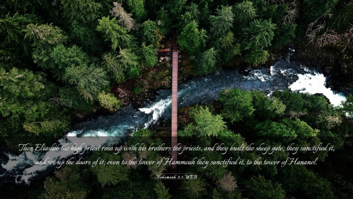 Picture 03 - Nehemiah 3:1 WEB Desktop Wallpaper - Then Eliashib the high priest rose up with his - Desktop Bible Verse Wallpaper