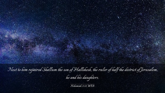 Picture 03 - Nehemiah 3:12 WEB Desktop Wallpaper - Next to him repaired Shallum the son of - Desktop Bible Verse Wallpaper