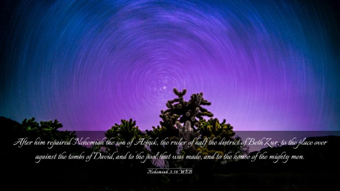 Picture 03 - Nehemiah 3:16 WEB Desktop Wallpaper - After him repaired Nehemiah the son of Azbuk, the - Desktop Bible Verse Wallpaper