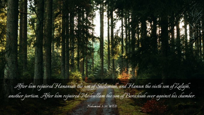 Picture 03 - Nehemiah 3:30 WEB Desktop Wallpaper - After him repaired Hananiah the son of Shelemiah, - Desktop Bible Verse Wallpaper