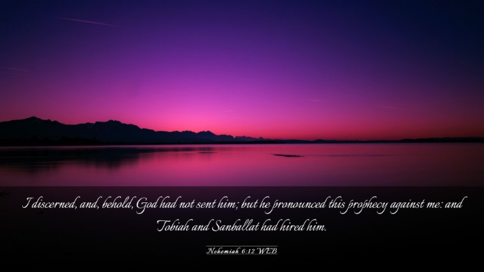 Picture 03 - Nehemiah 6:12 WEB Desktop Wallpaper - I discerned, and, behold, God had not sent him; - Desktop Bible Verse Wallpaper