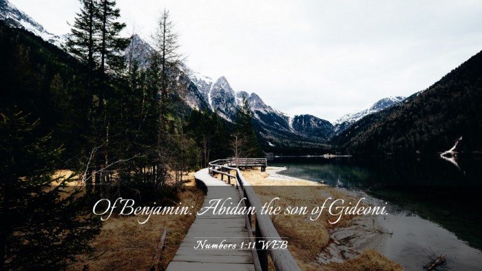 Picture 03 - Numbers 1:11 WEB Desktop Wallpaper - Of Benjamin: Abidan the son of - Desktop Bible Verse Wallpaper