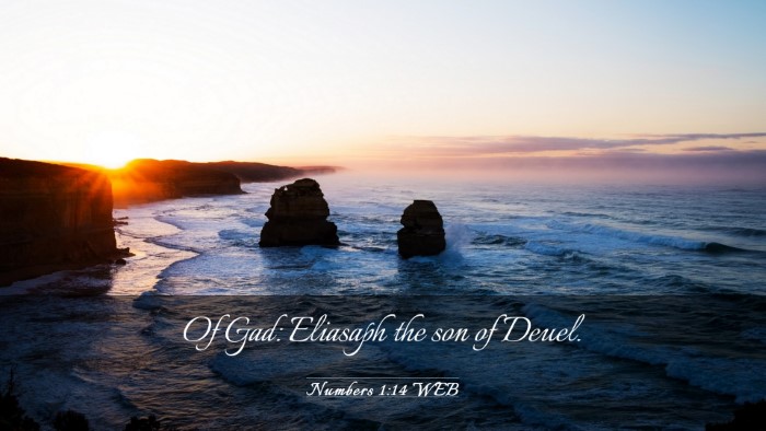 Picture 03 - Numbers 1:14 WEB Desktop Wallpaper - Of Gad: Eliasaph the son of - Desktop Bible Verse Wallpaper