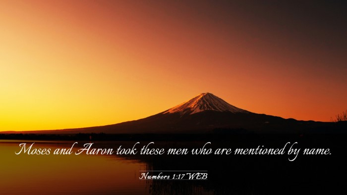 Picture 03 - Numbers 1:17 WEB Desktop Wallpaper - Moses and Aaron took these men who are mentioned - Desktop Bible Verse Wallpaper