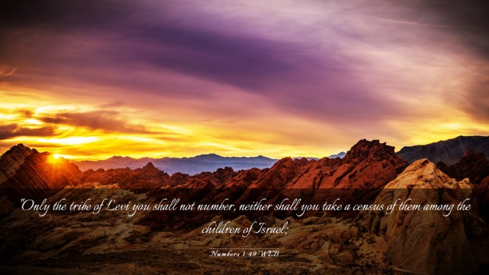 Picture 03 - Numbers 1:49 WEB Desktop Wallpaper - 