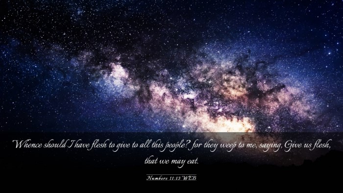 Picture 03 - Numbers 11:13 WEB Desktop Wallpaper - Whence should I have flesh to give to all this - Desktop Bible Verse Wallpaper