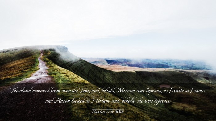 Picture 03 - Numbers 12:10 WEB Desktop Wallpaper - The cloud removed from over the Tent; and, - Desktop Bible Verse Wallpaper