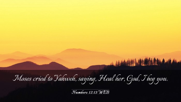 Picture 03 - Numbers 12:13 WEB Desktop Wallpaper - Moses cried to Yahweh, saying, Heal her, God, I - Desktop Bible Verse Wallpaper