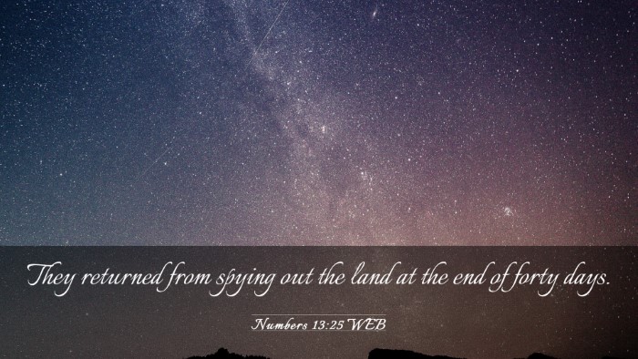 Picture 03 - Numbers 13:25 WEB Desktop Wallpaper - They returned from spying out the land at the end - Desktop Bible Verse Wallpaper