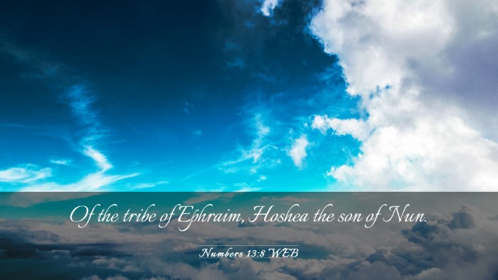 Picture 03 - Numbers 13:8 WEB Desktop Wallpaper - Of the tribe of Ephraim, Hoshea the son of - Desktop Bible Verse Wallpaper
