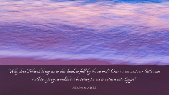 Picture 03 - Numbers 14:3 WEB Desktop Wallpaper - Why does Yahweh bring us to this land, to fall by - Desktop Bible Verse Wallpaper