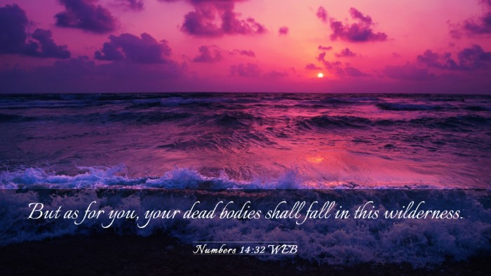 Picture 03 - Numbers 14:32 WEB Desktop Wallpaper - But as for you, your dead bodies shall fall in - Desktop Bible Verse Wallpaper