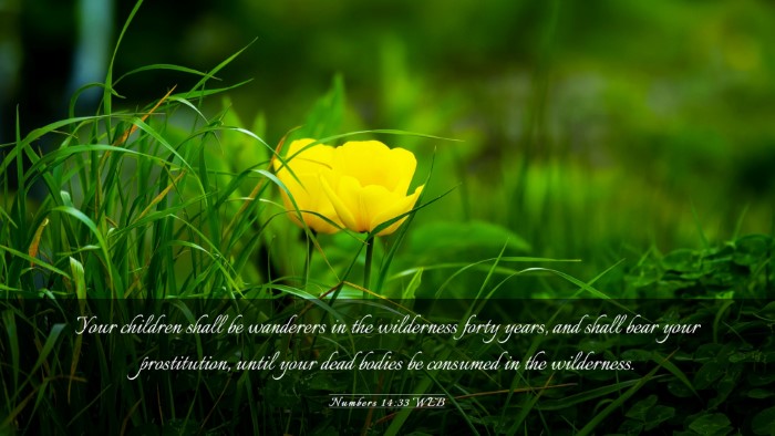 Picture 03 - Numbers 14:33 WEB Desktop Wallpaper - Your children shall be wanderers in the - Desktop Bible Verse Wallpaper