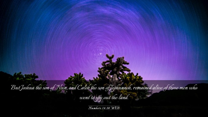 Picture 03 - Numbers 14:38 WEB Desktop Wallpaper - But Joshua the son of Nun, and Caleb the son of - Desktop Bible Verse Wallpaper