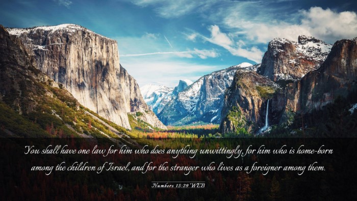 Picture 03 - Numbers 15:29 WEB Desktop Wallpaper - You shall have one law for him who does anything - Desktop Bible Verse Wallpaper