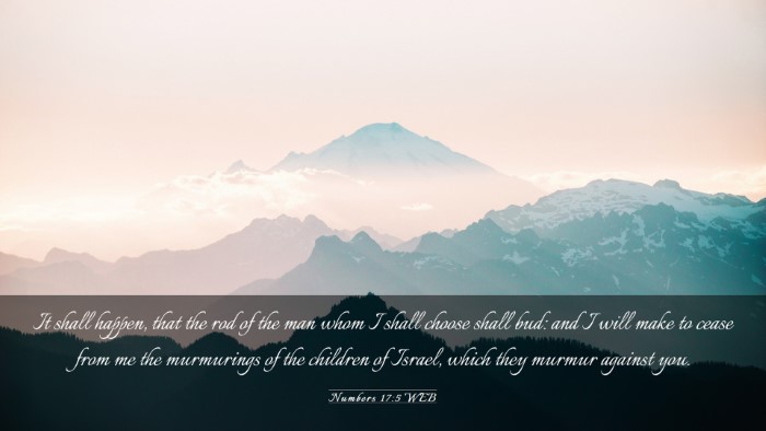 Picture 03 - Numbers 17:5 WEB Desktop Wallpaper - It shall happen, that the rod of the man whom I - Desktop Bible Verse Wallpaper