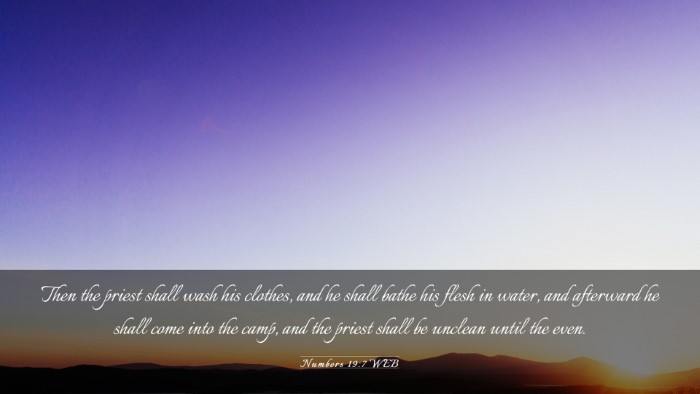 Picture 03 - Numbers 19:7 WEB Desktop Wallpaper - Then the priest shall wash his clothes, and he - Desktop Bible Verse Wallpaper