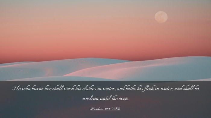 Picture 03 - Numbers 19:8 WEB Desktop Wallpaper - He who burns her shall wash his clothes in water, - Desktop Bible Verse Wallpaper
