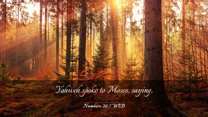 Picture 03 - Numbers 20:7 WEB Desktop Wallpaper - Yahweh spoke to Moses, - Desktop Bible Verse Wallpaper