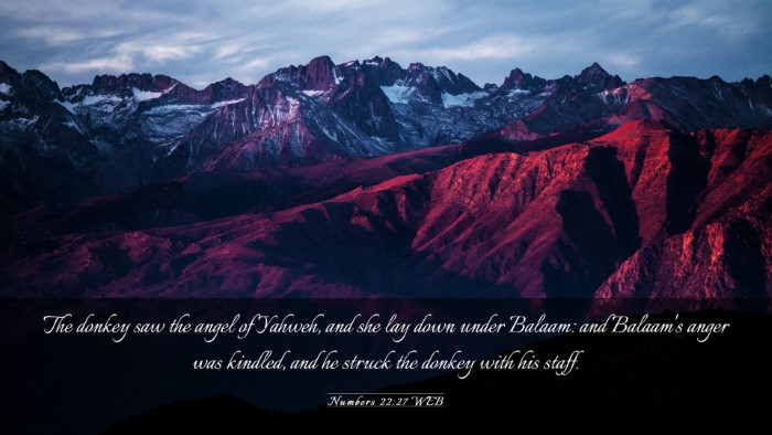 Picture 03 - Numbers 22:27 WEB Desktop Wallpaper - The donkey saw the angel of Yahweh, and she lay - Desktop Bible Verse Wallpaper