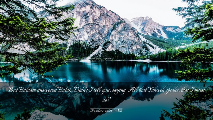 Picture 03 - Numbers 23:26 WEB Desktop Wallpaper - But Balaam answered Balak, Didn't I tell you, - Desktop Bible Verse Wallpaper