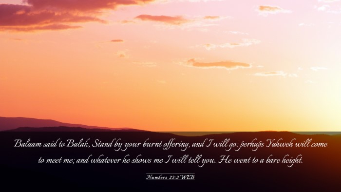 Picture 03 - Numbers 23:3 WEB Desktop Wallpaper - Balaam said to Balak, Stand by your burnt - Desktop Bible Verse Wallpaper