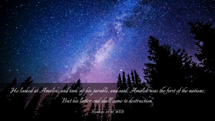 Picture 03 - Numbers 24:20 WEB Desktop Wallpaper - He looked at Amalek, and took up his parable, and - Desktop Bible Verse Wallpaper