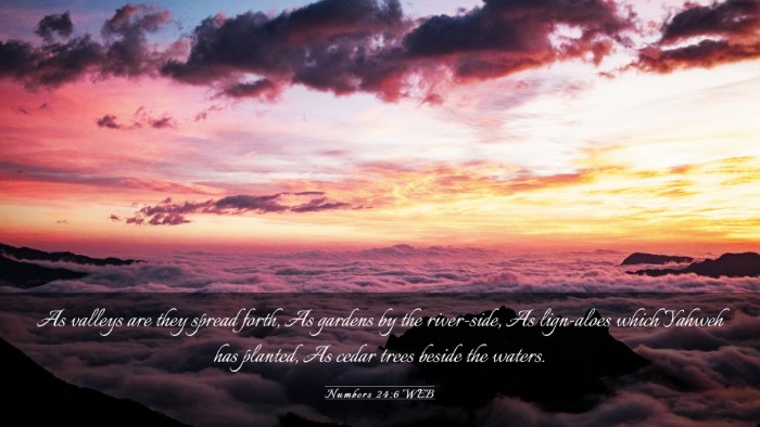 Picture 03 - Numbers 24:6 WEB Desktop Wallpaper - As valleys are they spread forth, As gardens by - Desktop Bible Verse Wallpaper