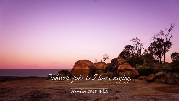 Picture 03 - Numbers 25:16 WEB Desktop Wallpaper - Yahweh spoke to Moses, - Desktop Bible Verse Wallpaper