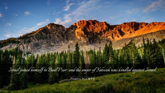 Picture 03 - Numbers 25:3 WEB Desktop Wallpaper - Israel joined himself to Baal Peor: and the anger - Desktop Bible Verse Wallpaper