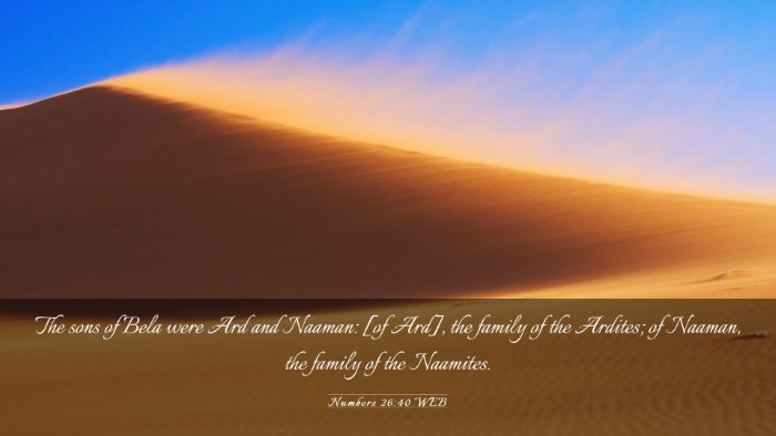 Picture 03 - Numbers 26:40 WEB Desktop Wallpaper - The sons of Bela were Ard and Naaman: [of Ard], - Desktop Bible Verse Wallpaper