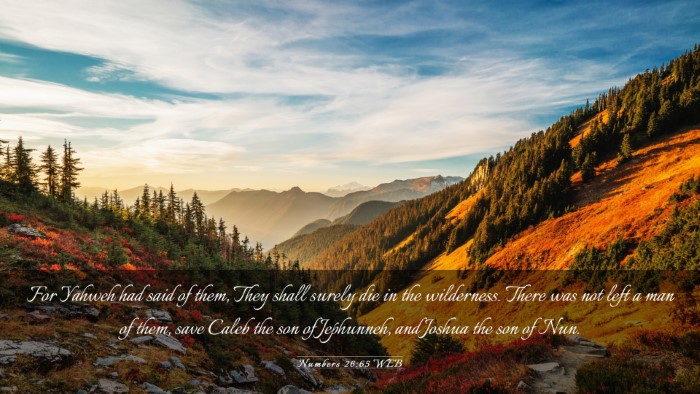 Picture 03 - Numbers 26:65 WEB Desktop Wallpaper - For Yahweh had said of them, They shall surely - Desktop Bible Verse Wallpaper