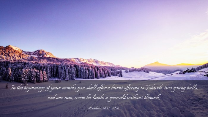 Picture 03 - Numbers 28:11 WEB Desktop Wallpaper - In the beginnings of your months you shall offer - Desktop Bible Verse Wallpaper