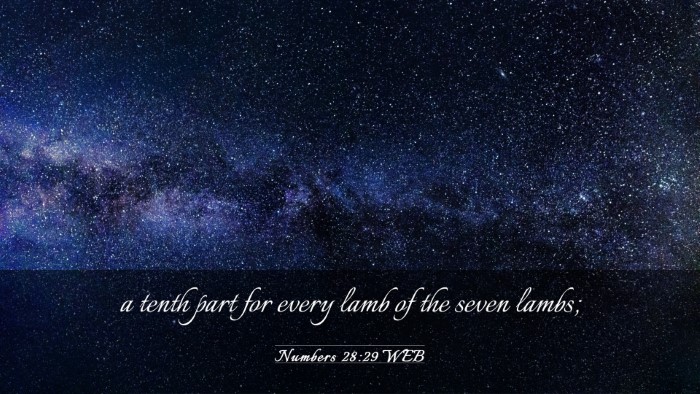 Picture 03 - Numbers 28:29 WEB Desktop Wallpaper - a tenth part for every lamb of the seven - Desktop Bible Verse Wallpaper