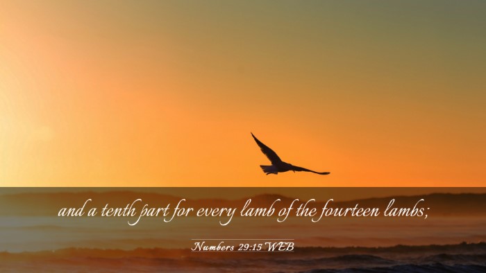 Picture 03 - Numbers 29:15 WEB Desktop Wallpaper - and a tenth part for every lamb of the fourteen - Desktop Bible Verse Wallpaper