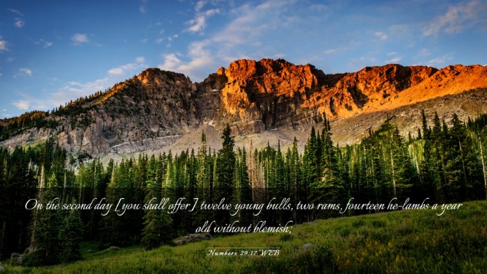Picture 03 - Numbers 29:17 WEB Desktop Wallpaper - On the second day [you shall offer] twelve young - Desktop Bible Verse Wallpaper