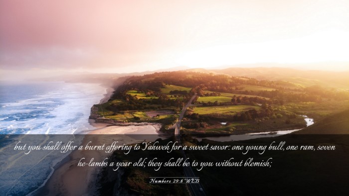 Picture 03 - Numbers 29:8 WEB Desktop Wallpaper - but you shall offer a burnt offering to Yahweh - Desktop Bible Verse Wallpaper