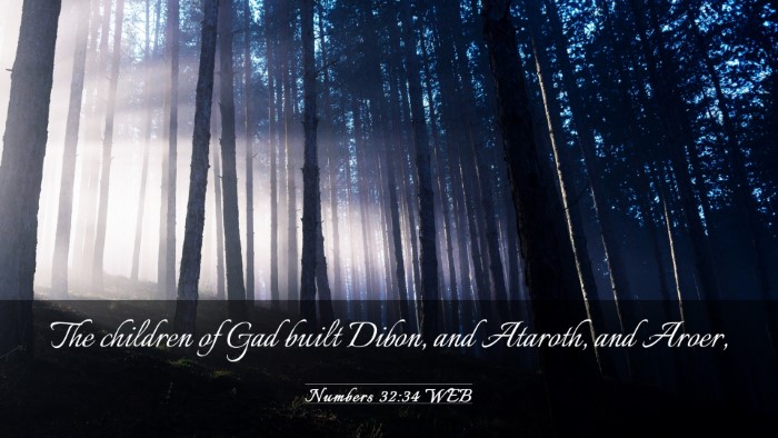 Picture 03 - Numbers 32:34 WEB Desktop Wallpaper - The children of Gad built Dibon, and Ataroth, and - Desktop Bible Verse Wallpaper