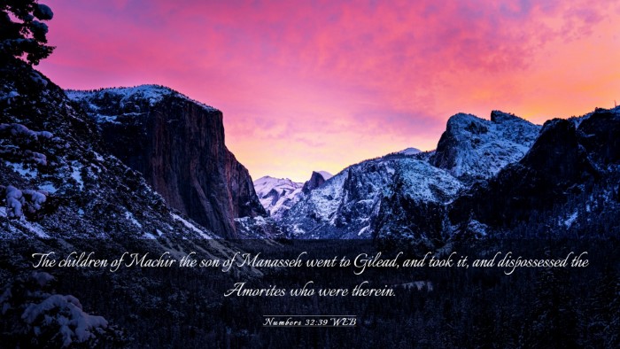 Picture 03 - Numbers 32:39 WEB Desktop Wallpaper - The children of Machir the son of Manasseh went - Desktop Bible Verse Wallpaper