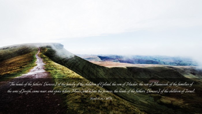 Picture 03 - Numbers 36:1 WEB Desktop Wallpaper - The heads of the fathers' [houses] of the family - Desktop Bible Verse Wallpaper