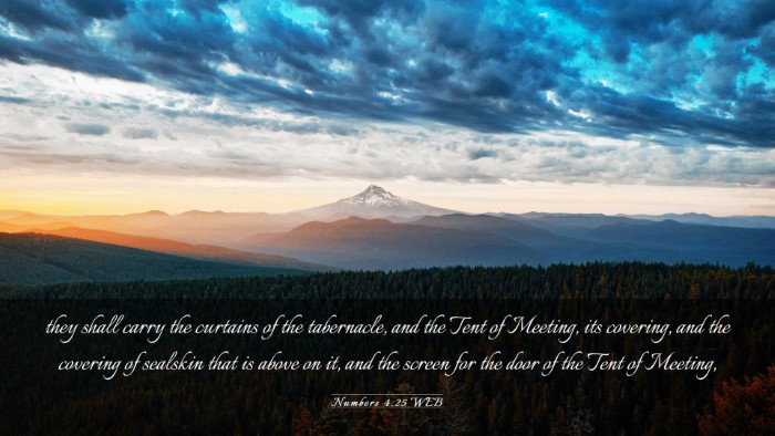Picture 03 - Numbers 4:25 WEB Desktop Wallpaper - they shall carry the curtains of the tabernacle, - Desktop Bible Verse Wallpaper