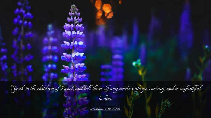 Picture 03 - Numbers 5:12 WEB Desktop Wallpaper - 