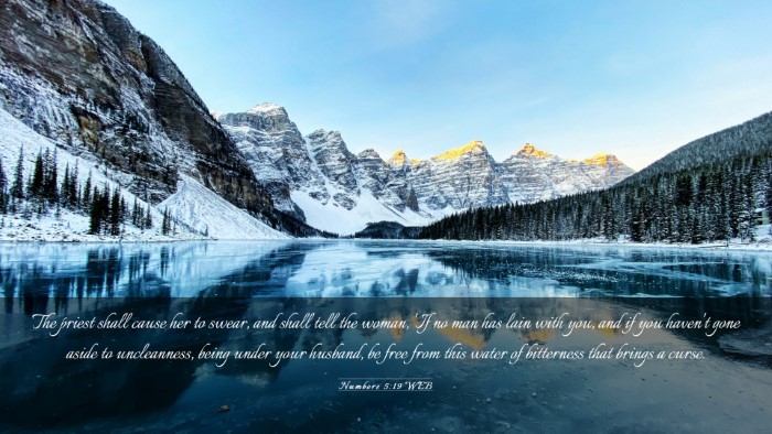 Picture 03 - Numbers 5:19 WEB Desktop Wallpaper - The priest shall cause her to swear, and shall - Desktop Bible Verse Wallpaper