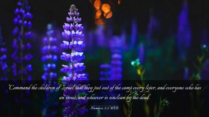 Picture 03 - Numbers 5:2 WEB Desktop Wallpaper - 