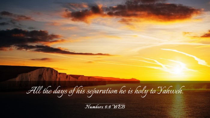 Picture 03 - Numbers 6:8 WEB Desktop Wallpaper - All the days of his separation he is holy to - Desktop Bible Verse Wallpaper