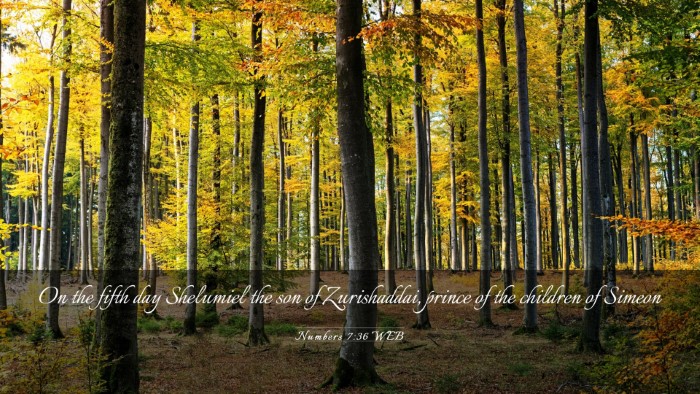Picture 03 - Numbers 7:36 WEB Desktop Wallpaper - On the fifth day Shelumiel the son of - Desktop Bible Verse Wallpaper